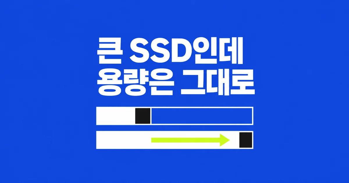 큰 SSD로 옮겼는데 C: 용량은 그대로다
