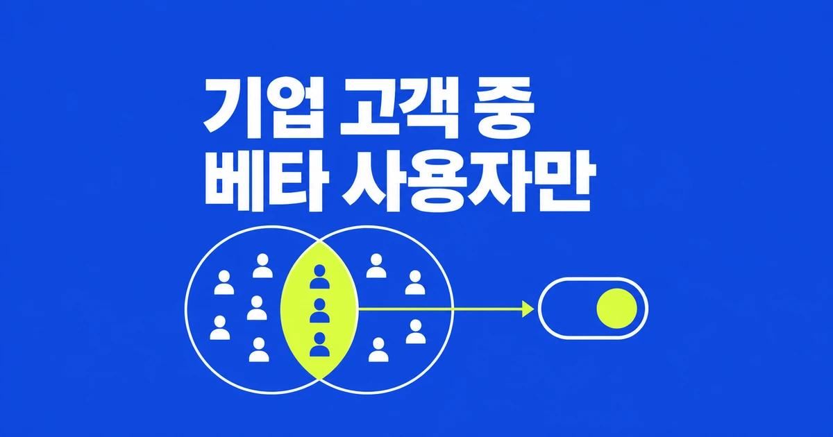Cloudflare Flagship, 기업 고객 중 베타 사용자에게만 기능 켜기