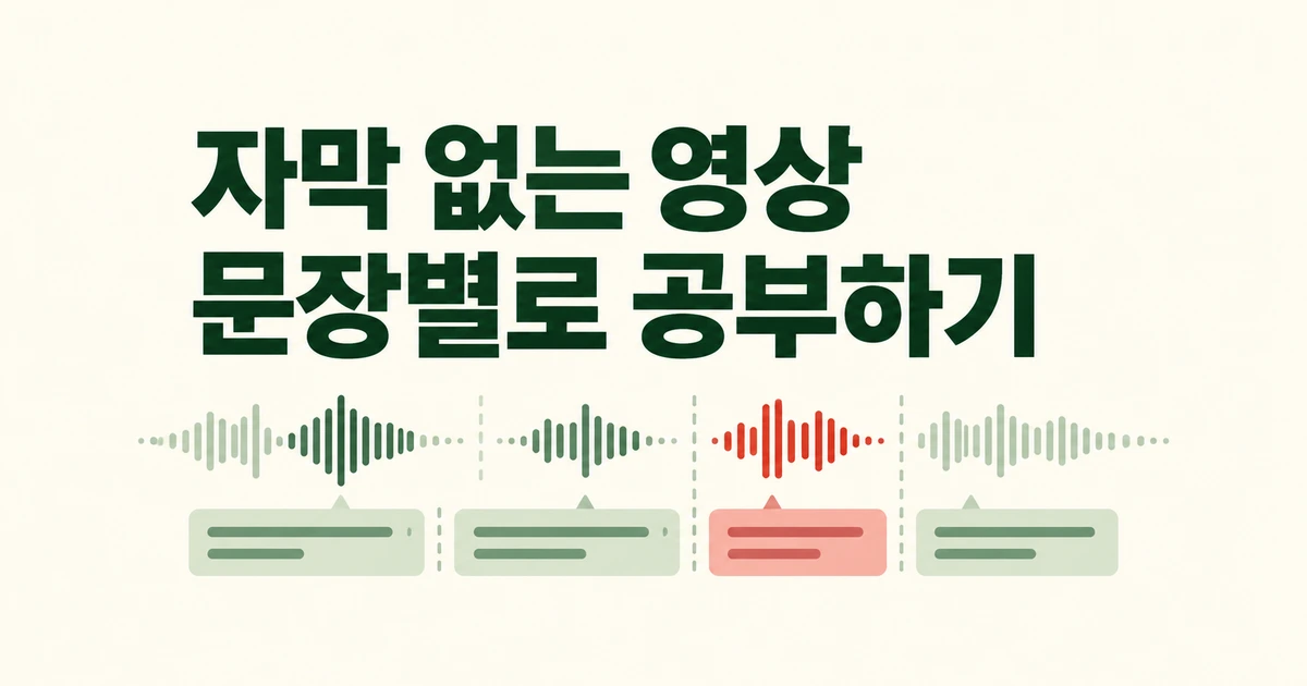 자막 없는 영상도 문장별로 공부하기, Mac용 RainbowSay