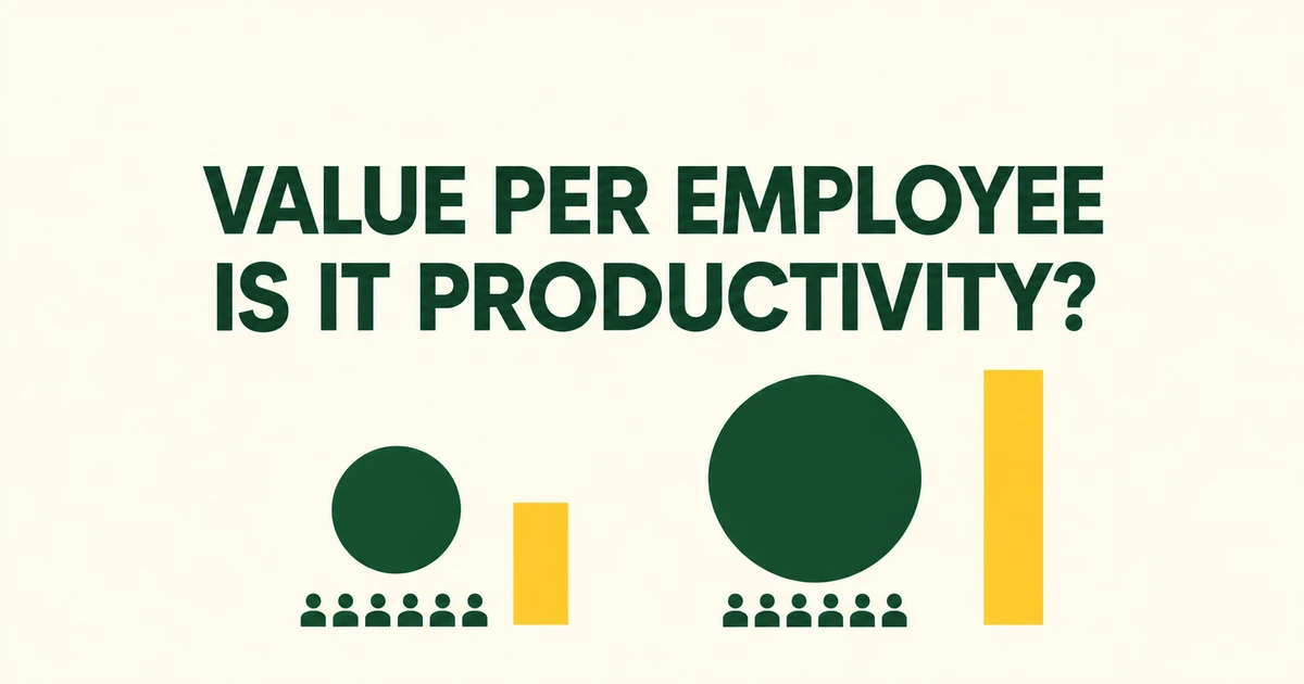 Does High Market Cap per Employee Mean High Productivity?